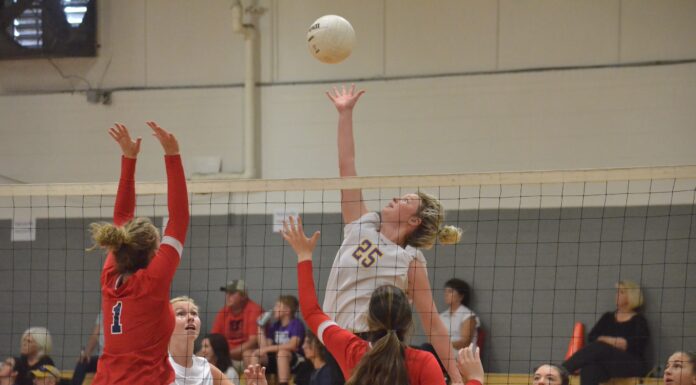 PREP VOLLEYBALL: Lady Aggies take area match over Brewer