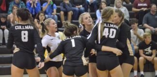 PREP VOLLEYBALL: Lady Bearcats drop area match against Hartselle