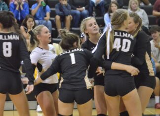 PREP VOLLEYBALL: Lady Bearcats drop area match against Hartselle