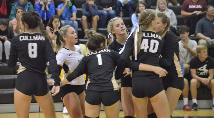 PREP VOLLEYBALL: Lady Bearcats drop area match against Hartselle