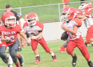 Cullman Co. Youth Football week 5 scoring recap