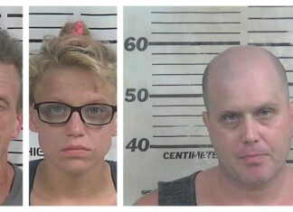 CPD searching for robbery suspect