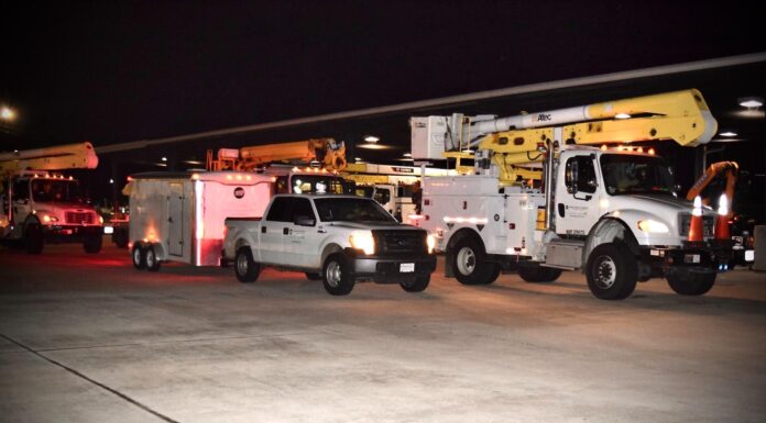 ‘It’s definitely a brotherhood’