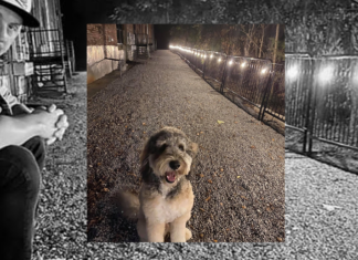 Path to success: Warehouse District merchants open back doors as construction closes street