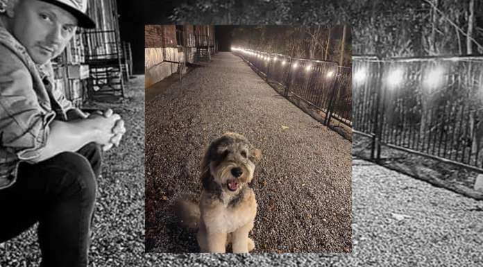 Path to success: Warehouse District merchants open back doors as construction closes street