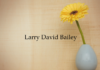 Obituary: Larry David Bailey