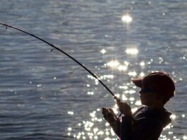 How technology is making fishing more appealing to young anglers in Cullman