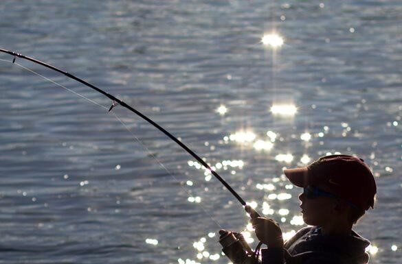 How technology is making fishing more appealing to young anglers in Cullman