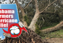 Relief fund established to help Alabama farmers recover from Hurricane Sally