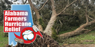 Relief fund established to help Alabama farmers recover from Hurricane Sally