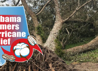 Relief fund established to help Alabama farmers recover from Hurricane Sally