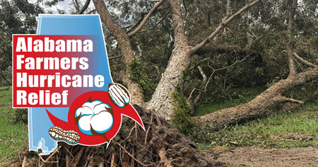 Relief fund established to help Alabama farmers recover from Hurricane Sally
