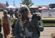 Mr. Big still the big man at Oktoberfest wiener dog races