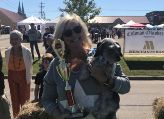 Mr. Big still the big man at Oktoberfest wiener dog races