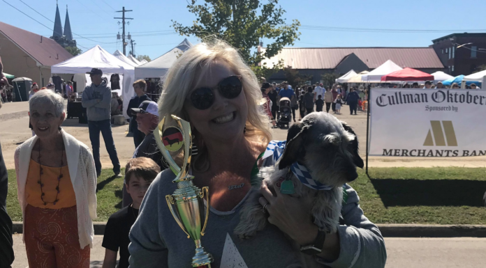 Mr. Big still the big man at Oktoberfest wiener dog races