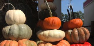 It’s prime Autumn decorating time!