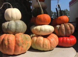 It’s prime Autumn decorating time!