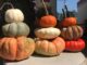 It’s prime Autumn decorating time!
