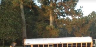 (Updated) Cullman County school bus hit; other driver killed