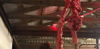 ‘Nightmare in Vinemont’ haunted attraction starts tonight