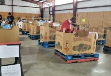 Bargain hunt at Treasures by Hea