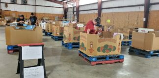 Bargain hunt at Treasures by Hea