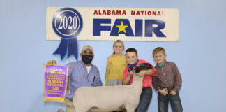 (PHOTOS) Cullman County youth earn ribbons at Alabama National Fair