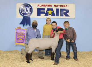 (PHOTOS) Cullman County youth earn ribbons at Alabama National Fair