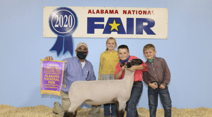 (PHOTOS) Cullman County youth earn ribbons at Alabama National Fair