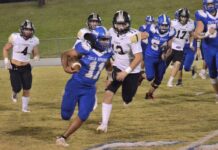 PREP FOOTBALL: Cold Springs drops region finale to Lamar County 19-13