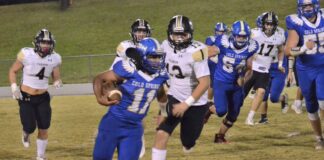 PREP FOOTBALL: Cold Springs drops region finale to Lamar County 19-13