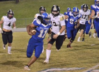 PREP FOOTBALL: Cold Springs drops region finale to Lamar County 19-13