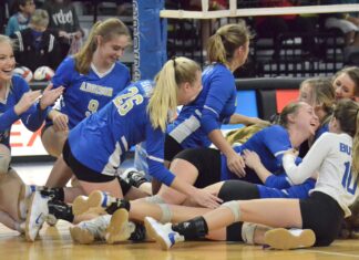 PREP VOLLEYBALL: Addison topples G.W. Long to capture 2A State Title