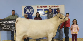 Cullman’s Cole Eubanks exhibits winning animals during 2nd weekend of Alabama National Fair Livestock Shows