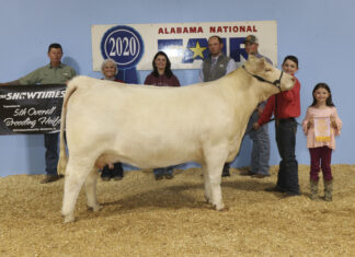 Cullman’s Cole Eubanks exhibits winning animals during 2nd weekend of Alabama National Fair Livestock Shows