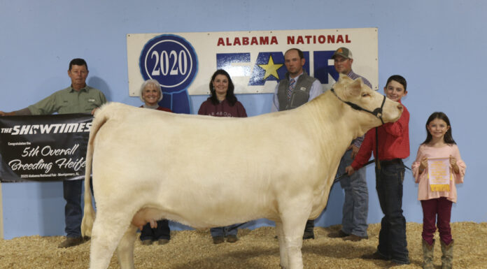 Cullman’s Cole Eubanks exhibits winning animals during 2nd weekend of Alabama National Fair Livestock Shows
