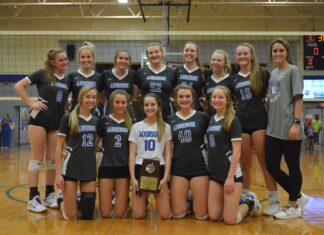 PREP VOLLEYBALL: Addison sweeps Cold Springs, Hatton to win 2A, Area 13 Tournament