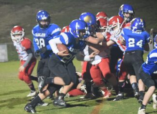 Cullman Co. Youth Football week 9 scoring recap