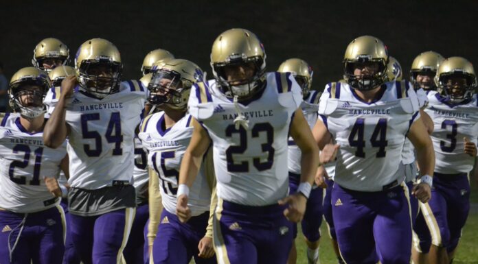 PREP FOOTBALL: Bulldogs drop road matchup at Ashville 38-14