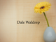 Obituary: Dale Waldrep