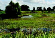 PUBLIC NOTICE: Nov. 13 signup deadline announced for Alabama’s Easement and Financial Assistance Programs