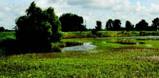 PUBLIC NOTICE: Nov. 13 signup deadline announced for Alabama’s Easement and Financial Assistance Programs