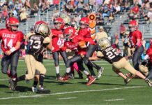 YOUTH FOOTBALL: Cyclones take Pee-Wee, Fireplug championships, Vinemont wins Wee-Wee title