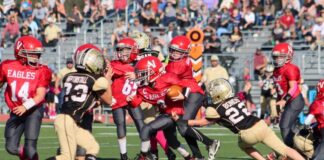 YOUTH FOOTBALL: Cyclones take Pee-Wee, Fireplug championships, Vinemont wins Wee-Wee title