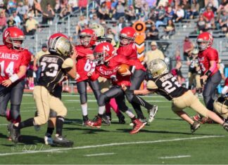 YOUTH FOOTBALL: Cyclones take Pee-Wee, Fireplug championships, Vinemont wins Wee-Wee title