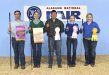 (Photos) Local youth win ribbons in Showmanship, Premier Exhibitor during Youth Goat, Beef Shows