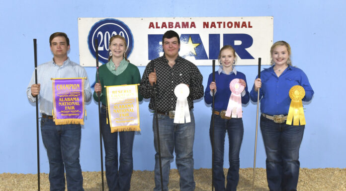 (Photos) Local youth win ribbons in Showmanship, Premier Exhibitor during Youth Goat, Beef Shows