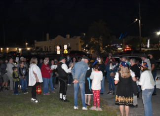 History on parade: Oktoberfest walking tour features west side life, Tribune stories