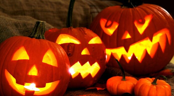 Carver’s guide to preserving carved pumpkins