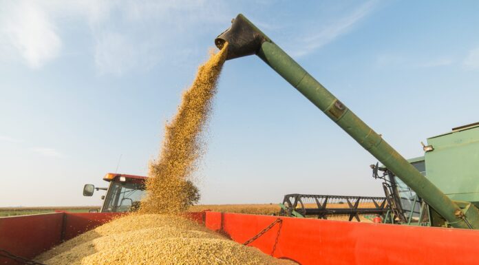 Focus on harvest safety this fall